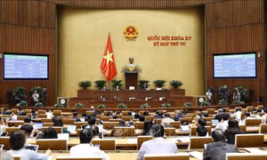 Quốc hội thông qua Luật Thanh tra (sửa đổi)