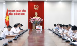 Quảng Ninh: Phát triển vịnh Cửa Lục thành đô thị sinh thái bền vững