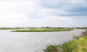 Cần sớm khơi thông dòng chảy, chống sạt lở bờ sông Vĩnh Định