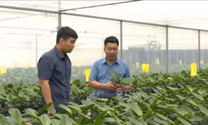 Xây dựng nền nông nghiệp hiện đại, thân thiện