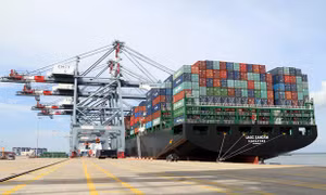 Việt Nam có thể là cửa ngõ cho các doanh nghiệp và hàng hóa Ấn Độ