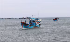 Ứng phó bão số 9: Quảng Trị lên phương án ưu tiên di dời dân vùng ven biển