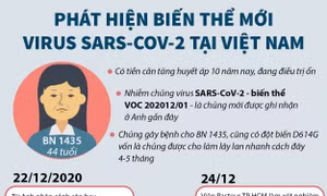 Phát hiện biến thể mới virus SARS-CoV-2 tại Việt Nam