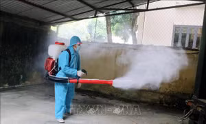 Yêu cầu xử lý nghiêm đối tượng hành hung người tham gia phòng, chống dịch sốt xuất huyết