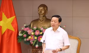 Quy định về đất trồng lúa phải đảm bảo ổn định thu nhập và đời sống người dân