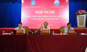 Xây dựng vùng chăn nuôi an toàn, hướng đến xuất khẩu