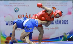 Đoàn Hà Nội giành giải nhất tại Giải Vô địch Wushu các câu lạc bộ quốc gia năm 2026