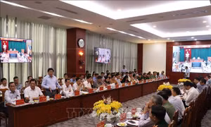 Kiên quyết xử lý dứt điểm tình trạng tàu cá '3 không'