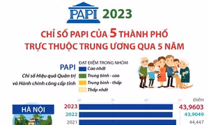 Chỉ số PAPI của 5 thành phố trực thuộc Trung ương qua 5 năm