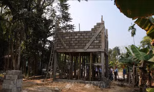 Hỗ trợ xây dựng 430 nhà an toàn chống bão, lụt cho người dân Thừa Thiên - Huế