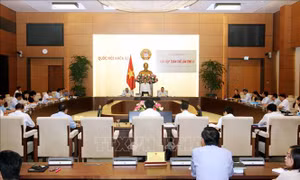 Thẩm tra dự án Luật Doanh nghiệp: Muốn tham gia thị trường thế giới cần phải minh bạch