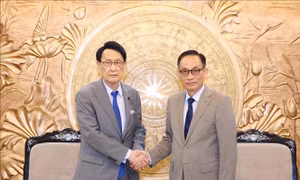 Trưởng Ban Đối ngoại Trung ương tiếp Trưởng Ban nghiên cứu chính sách Đảng Dân chủ Tự do Nhật Bản