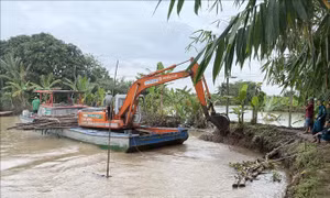 Khắc phục xong đoạn đê bị vỡ ở cồn Sơn, Cần Thơ