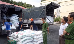 Liên tiếp phát hiện 4 xe tải vận chuyển 39 tấn đường cát trong đêm tối