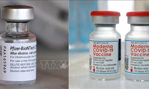 Mỹ cấp phép vaccine ngừa COVID-19 cải tiến của Moderna và Pfizer cho trẻ từ 6 tháng tuổi