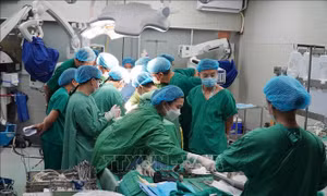 Các bác sĩ BV Chợ Rẫy, BV Việt Đức nỗ lực ghép tạng xuyên Việt