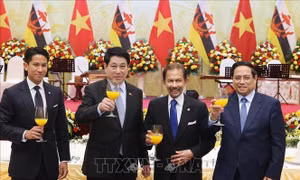 Quốc vương Brunei kết thúc chuyến thăm cấp Nhà nước tới Việt Nam
