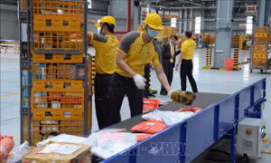 Đẩy mạnh số hóa, xanh hóa thúc đẩy chất lượng ngành bưu chính