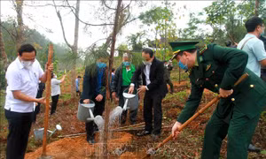Thừa Thiên - Huế phát động Tết trồng cây Xuân Tân Sửu