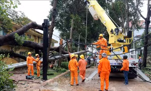 Các tỉnh phía Nam đã khôi phục xong hệ thống lưới điện sau bão số 9