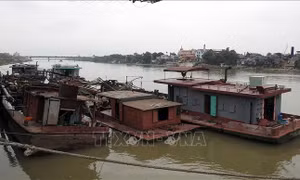 Bắt quả tang 3 tàu hút cát trái phép trên sông Hồng