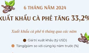6 tháng năm 2024 xuất khẩu cà phê tăng 33,2%