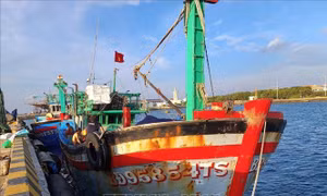 Kịp thời cứu chữa ngư dân bị thương và hỗ trợ sửa chữa tàu cá