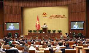 Đảm bảo quy hoạch tổng thể quốc gia không dàn trải, xa rời thực tiễn