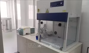 Tìm người liên quan ca mắc COVID-19 tại Bạc Liêu và Hội thánh truyền giáo Phục Hưng