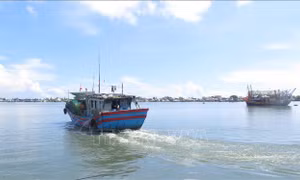 Khắc phục 'thẻ vàng' IUU: Thừa Thiên - Huế còn nhiều tàu cá mất kết nối