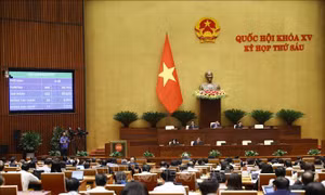 Kỳ họp thứ 6, Quốc hội khóa XV: Ngành Lưu trữ phải đẩy mạnh chuyển đổi số