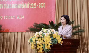 Tổ chức Đại hội Đảng bộ các cấp đảm bảo an toàn, hiệu quả, đúng tiến độ
