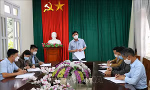 Bí thư cấp ủy không là người địa phương: Bước đột phá trong công tác cán bộ