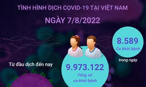 1.381 ca mắc COVID-19 mới và 8.589 F0 khỏi bệnh trong ngày 7/8