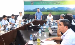 Phân cấp 4 thủ tục, cắt giảm 11 thủ tục hành chính lĩnh vực trồng trọt