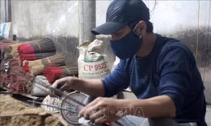 Làng làm hương truyền thống xứ Thanh hối hả vào Tết
