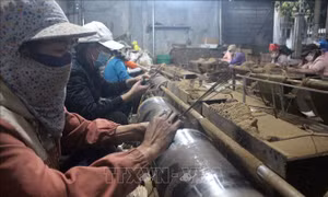  Làng hương xứ Thanh hối hả những ngày cận Tết