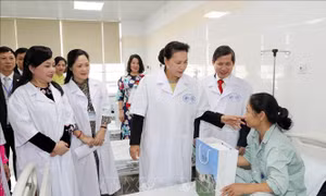 Chủ tịch Quốc hội Nguyễn Thị Kim Ngân: Đảng, Nhà nước luôn quan tâm phát huy y học cổ truyền 