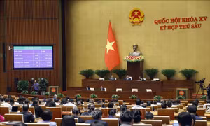 Thông cáo báo chí số 21, Kỳ họp thứ 6, Quốc hội khóa XV