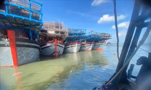 Ngăn chặn tình trạng mất tín hiệu giám sát hành trình tàu cá