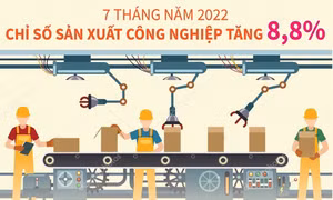 7 tháng năm 2022, chỉ số sản xuất công nghiệp tăng 8,8%