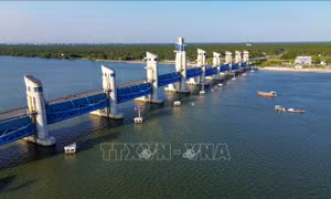Xâm nhập mặn ở các sông Vàm Cỏ, Cái Lớn và Cái Bé duy trì ở mức cao
