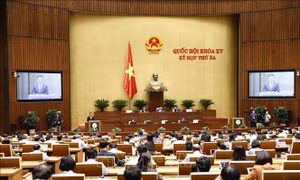 Thông cáo báo chí số 10 Kỳ họp thứ 3, Quốc hội khóa XV