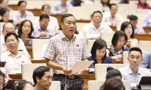 Dân quân tự vệ làm nòng cốt lực lượng phòng không nhân dân
