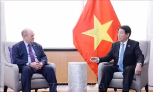 Chủ tịch nước Lương Cường tiếp các nghị sĩ Hoa Kỳ