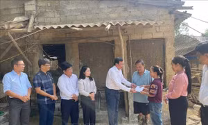 Hỗ trợ đồng bào miền Bắc khắc phục hậu quả sau mưa bão