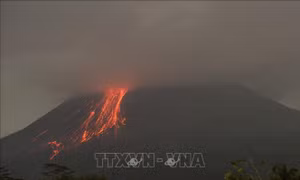 Indonesia: Núi lửa Merapi 'thức giấc', cột tro bụi cao tới 7 km 