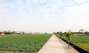 Nhiều hoạt động hỗ trợ hợp tác xã chuyển đổi số