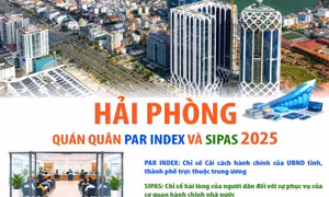 Hải Phòng - Quán quân PAR INDEX và SIPAS 2025