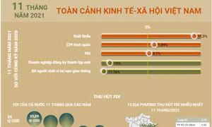 Toàn cảnh kinh tế-xã hội Việt Nam 11 tháng năm 2021
